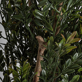 Искусственное растение BOJ