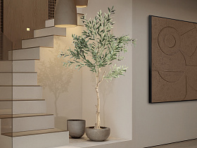Olivo Искусственное растение H180