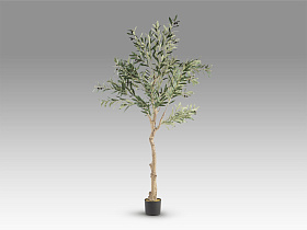 Olivo Искусственное растение H180