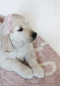 Ковер круглый Алфавит Round ABC (розовый) 150R