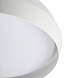 Белый настенный/потолочный светильник Shoku 350 LED 24W 2700K DIM