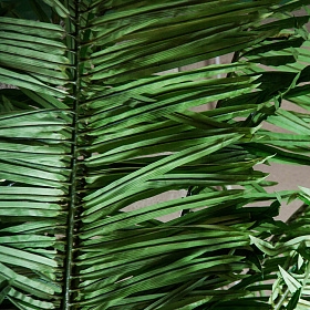 Пальма искусственная PALMERA