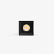 Модуль Podium DFA черный 38° 2700K CRI97