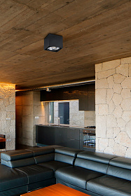 Потолочный светильник Tecto-1 черный AR111