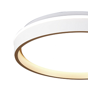 Потолочный светильник VERONA 9028