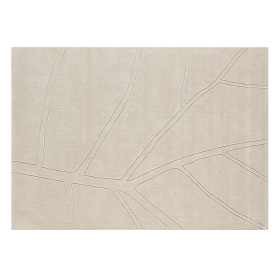 Ковер Leaf 04 200x300