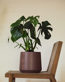 Кашпо Calun керамика темно-коричнего цвета Ø 32 см