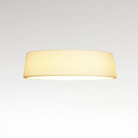 Потолочный светильник Soho C 57 LED белый