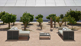 Модуль дивана DNA  3