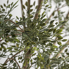 Искусственное растение OLIVO 37737