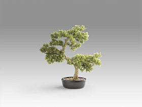 Bankan - bonsai 75cm Искусственное растение из 2 предметов