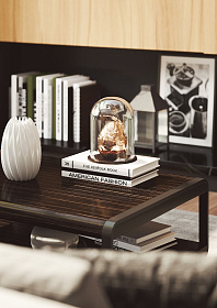 Журнальный стол ARC Macassar Ebony