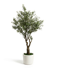 Искусственное дерево Artificial Olive в белом горшке, 210 см