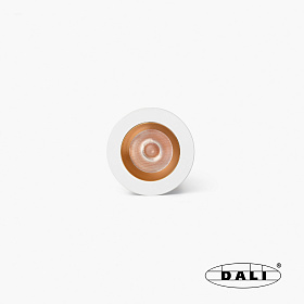 Встраиваемый даунлайт Uno белый/золотой без рамки 8W 11° 3000K CRI90 DALI