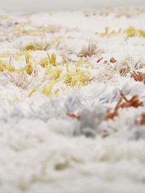 Ковер ILSE 100х160