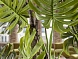 Monstera Искусственное растение H210