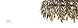 Люстра Azores Oval 80 Oxidized brushed brass