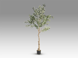 Olivo Искусственное растение H180