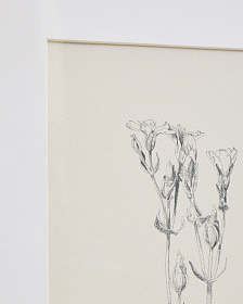 Картина Lirena с ботанической иллюстрацией 70 x 50 см