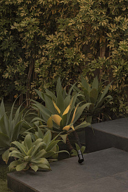 Уличный прожектор Puk черный LED Ш36 4W 3000K 8° 24V