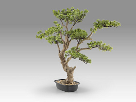 Sokan - bonsai 81cm Искусственное растение из 2 предметов