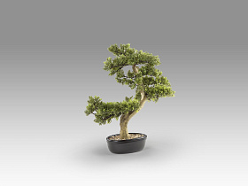 Bankan - bonsai 75cm Искусственное растение из 2 предметов