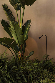 LILY 650 Уличный маяк на штыке черный LED 3W 2700K 24V