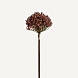 Искусственное растение ALLIUM