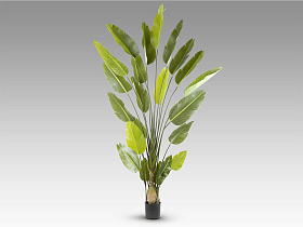 Ave paraiso Искусственное растение H250