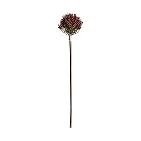 Искусственное растение ALLIUM