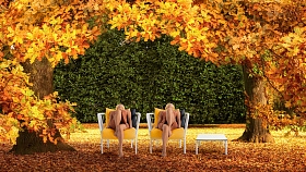 Декоративная подушка Arp