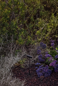 Ландшафтный светильник CLAP 630 черный LED 6W 3000K 38° 24V