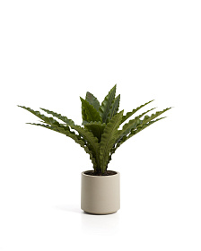 Искусственное растение Neottopteris в белом горшке 70 см