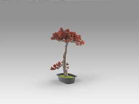 Bujin-hi bonsai 45cm Искусственное растение