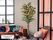 Buganvilla naranja h180 Искусственное растение