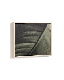 Фотография листа Foliae размер 32,5 x 42,5 см