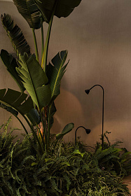 LILY 300 Уличный маяк на штыке черный LED 3W 2700K 24V