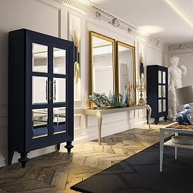 Книжный шкаф Aristocratic Singular