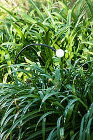 CUCA 650 Ландшафтный светильник черный LED 3W 2700K 24V