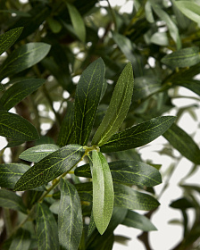 Искусственное дерево Artificial Olive в белом горшке, 210 см