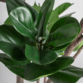 Искусственное растение FICUS 37727
