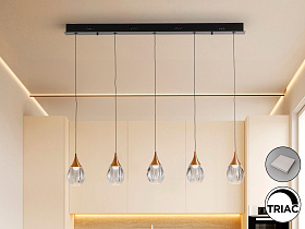 Corina Люстра 5L черно-медный