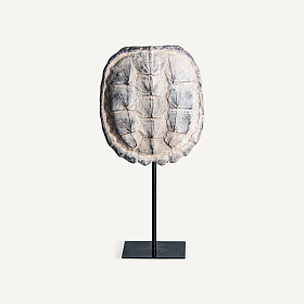 Скульптура в виде панциря черепахи TORTUGA