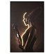 Silueta Светодиодная картина LED 120X180