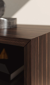 Тумба под ТВ Paris Macassar Ebony