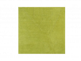Ковер Leaf 03 170x170