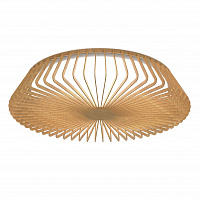 Потолочный светильник HIMALAYA 7964