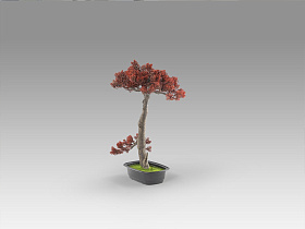 Bujin-hi bonsai 45cm Искусственное растение