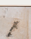 Абстрактная картина Selnar бежевая 60 x 90 см