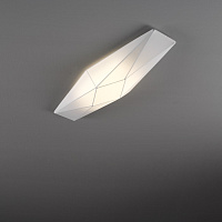 Настенный/потолочный светильник Polaris 20016
